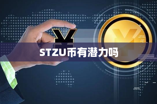 STZU币有潜力吗