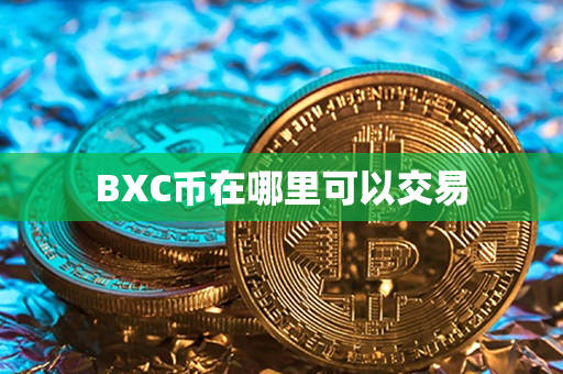 BXC币在哪里可以交易