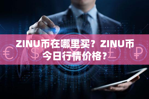 ZINU币在哪里买？ZINU币今日行情价格？