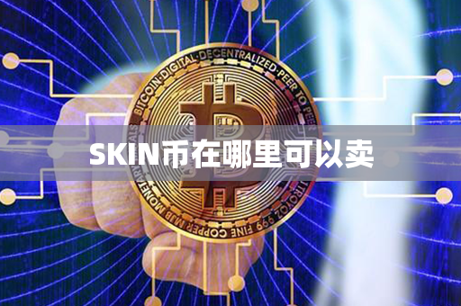 SKIN币在哪里可以卖