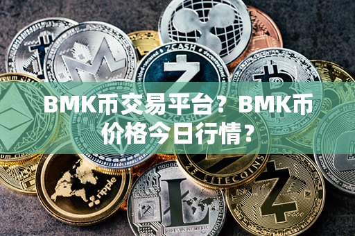 BMK币交易平台？BMK币价格今日行情？