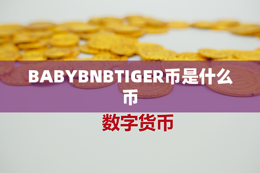 BABYBNBTIGER币是什么币