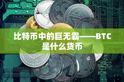 比特币中的巨无霸——BTC是什么货币