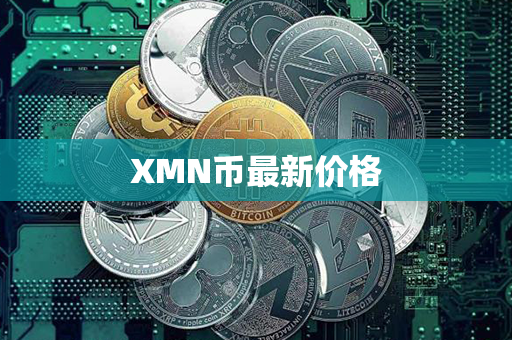 XMN币最新价格