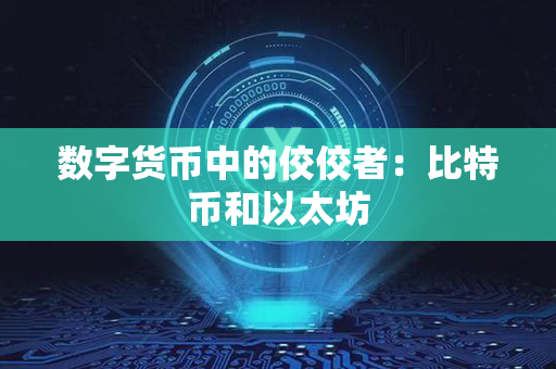 数字货币中的佼佼者：比特币和以太坊