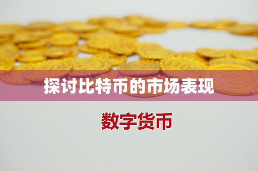 探讨比特币的市场表现