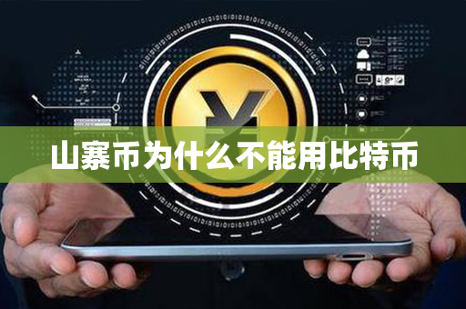 山寨币为什么不能用比特币