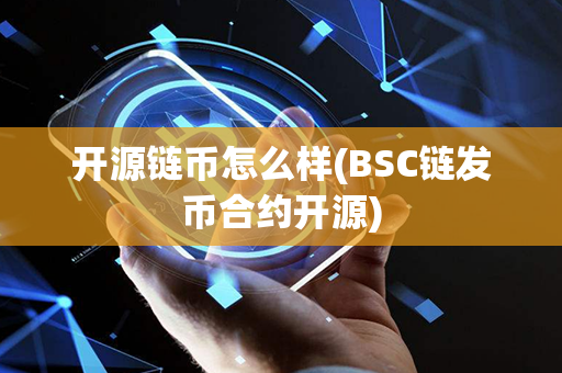 开源链币怎么样(BSC链发币合约开源)